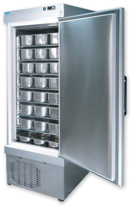 Refrigerated Cabinets - Teknaline Lab Model 5010 NFN